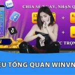 nhà cái WINVN